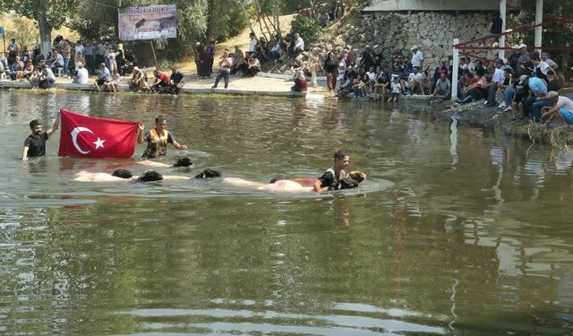 8 asırlık Çal Sudan Koyun Geçirme festivali yoğun katılımla gerçekleşti