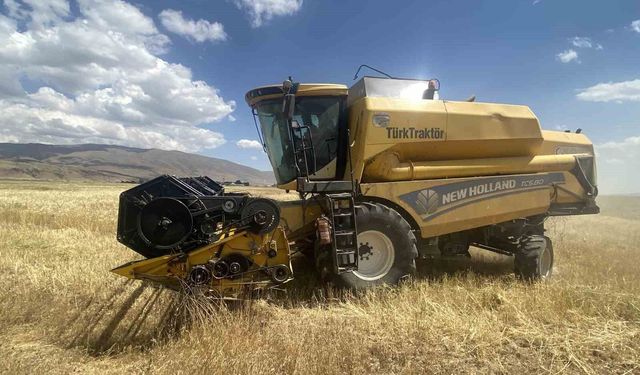 Ağrı'da buğday biçme sezonu başladı