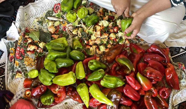 Ağrı'da kış hazırlıkları başladı: Kapya biberler ipe diziliyor