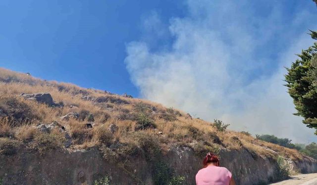 Bodrum'da makilik yangını