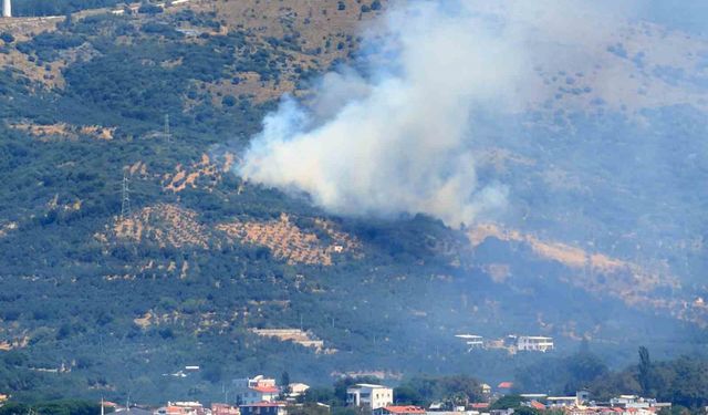 Marmara Adası'nda orman yangını başladı