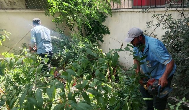 Mersin'de park ve yeşil alanlarda bakım çalışmaları sürüyor