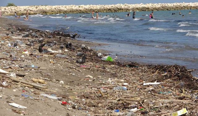 Mersin sahillerindeki kirlilik turizmi tehdit ediyor