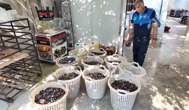 Mersin'de 200 kilo bozuk midye dolması ele geçirildi