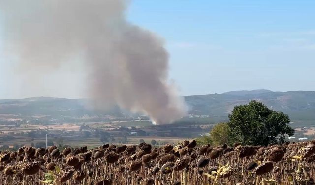 Mudanya'da korkutan yangın: Havadan ve karadan müdahale ediliyor