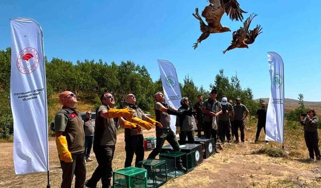 Nemrut Kalderası Milli Parkı'nda 5 yaban hayvanı doğaya salındı