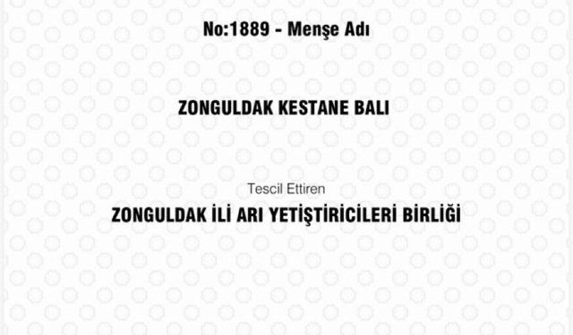Zonguldak kestane balı coğrafi işaret tescili aldı