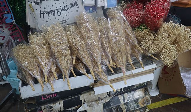 Mersin’de özel günlerde kullanılan beyaz nefes çiçeklerine yoğun ilgi