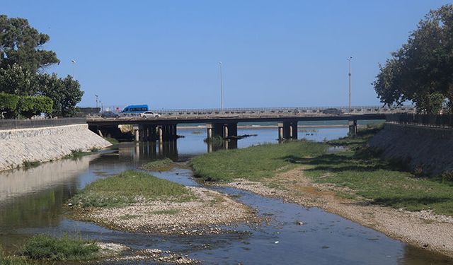 Mersin Müftü Deresi’nde kuş popülasyonu azaldı