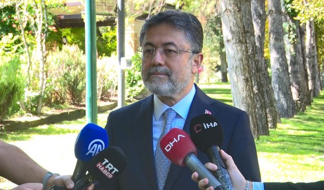 Defne yaprağı ihracatında Çin'le yeni dönem: Yıllık 60 milyon dolarlık ihracat