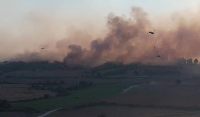 Kozan, İmamoğlu ve Aladağ'daki yangına havadan müdahale başladı