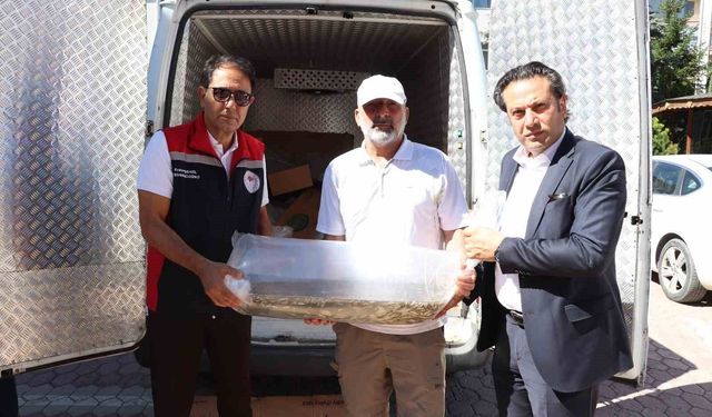 Sivas'ta yüzbinlerce yavru balık göl ve göletlere bırakıldı