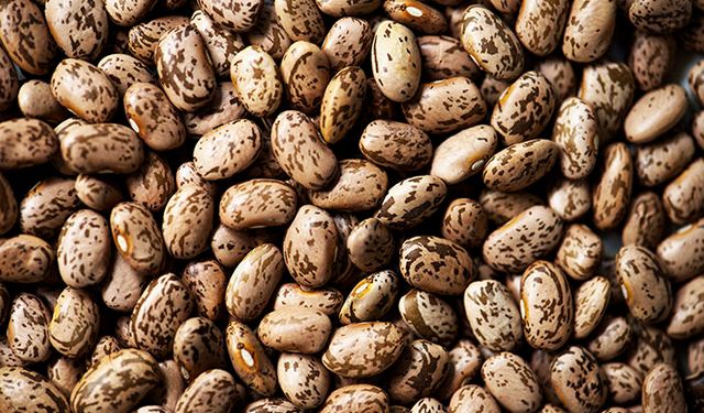 Kışlık hazırlıklar son sürat devam ediyor: Barbunya, 50 TL’den alıcılarını bekliyor