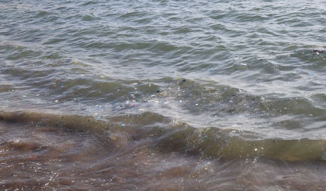 Mersin sahillerinde alarm: Akdeniz, mikroplastik kirliliğiyle boğuşuyor