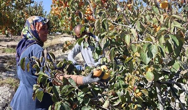Akdeniz Ziraat Odası'ndan bütçe teklifine tepki: “Tarım, milli güvenlik meselesidir”