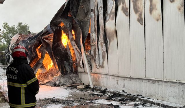Mersin'de tütün ve makaron fabrikasının 3 deposunda yangın