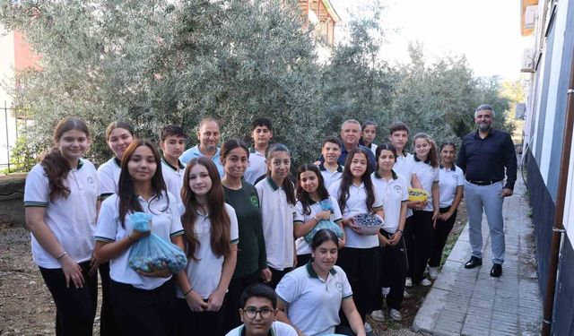 Adana'da öğrenciler 1. sınıfta diktikleri zeytinlerin 8. sınıfta hasadını yaptılar
