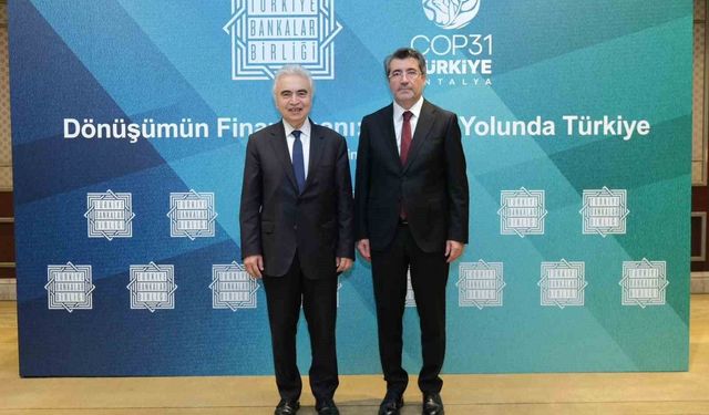 Bankacılık sektöründen enerjiye 1 trilyon TL'yi aşan finansman