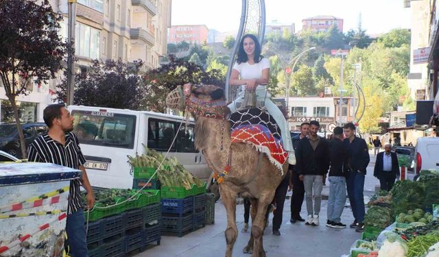 Hakkari'de deve ve midilli atları ilgi odağı oldu