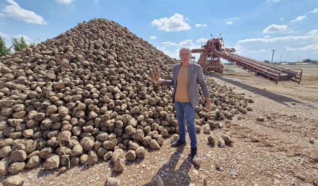 Karaman'da şeker pancarı alım kampanyası başladı
