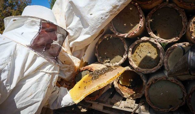 Malatya'da 60 yıllık gelenek toprak kovanlarda yaşatılıyor