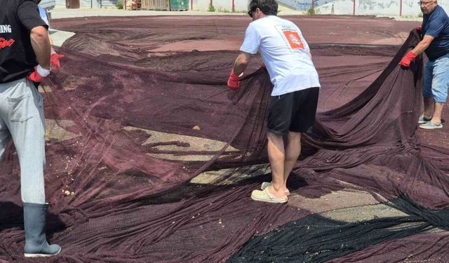 Marmara'da hayalet ağ operasyonu: 800 kiloluk atıklar güneş gözlüğüne dönüşüyor