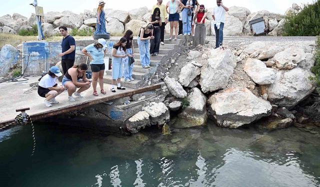 Mersin'de biyolojik çeşitlilik MINKA ile kayıt altına alınıyor