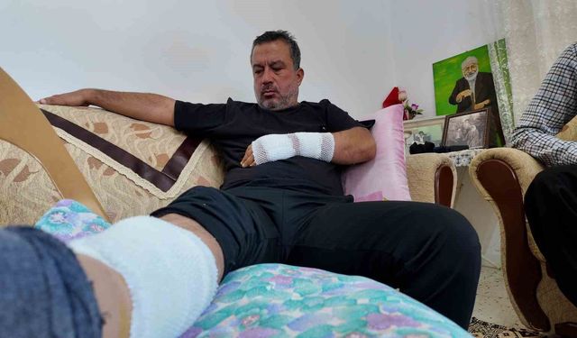 Sahipli köpeğin saldırdığı adam feci şekilde yaralandı