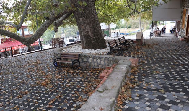 Arslanköy’ün çınarına yenilenmiş alan