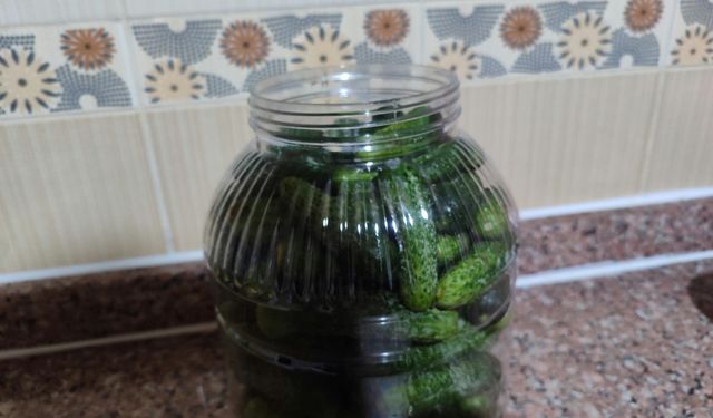 Mersin’de turşu kurma sezonu resmen başladı