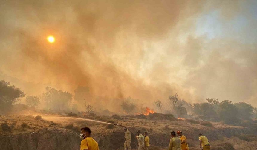 İzmir’deki orman yangını 8 saat sonra kontrol altına alındı