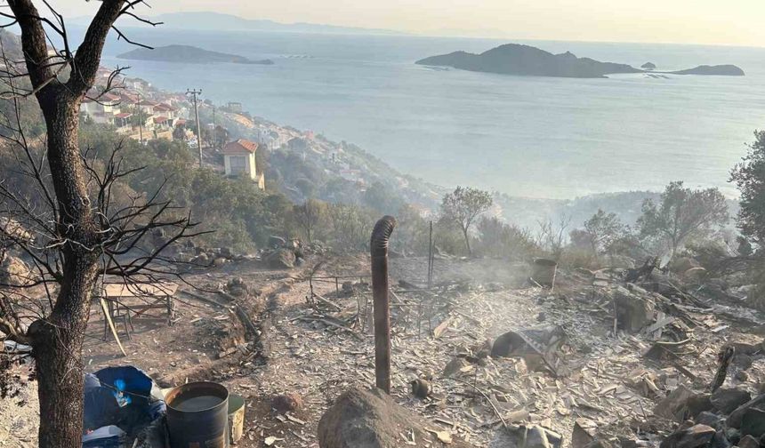 İzmir’deki yangında bir bağ evi kül oldu