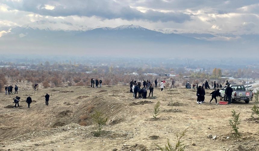 Erzincan’da dağa taşa umut ekiyorlar