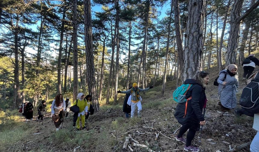 Çamlıca Yaylası'nda doğanın tadını çıkardılar