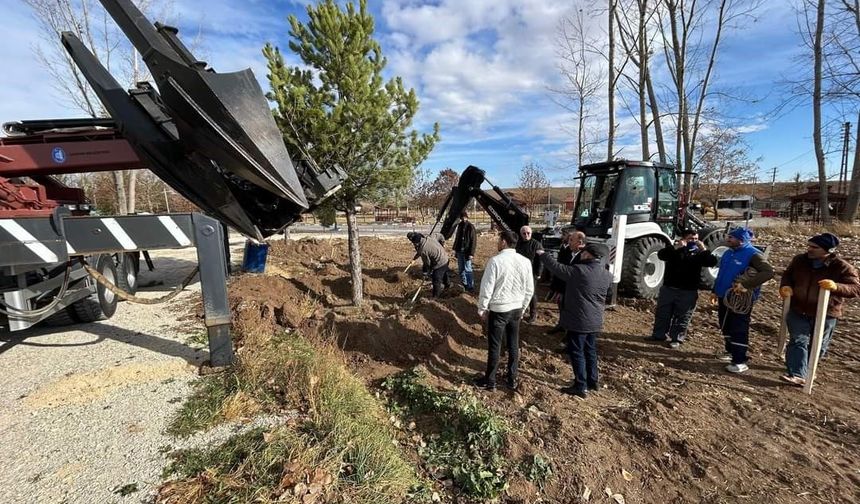 Çorum’un gözde mekanlarından olan Veli Çayırı’ndaki otopark yeşille buluşturuluyor