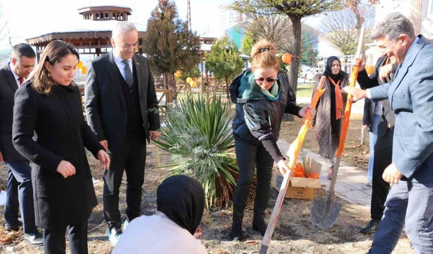 Elazığ’da kadına yönelik şiddetle mücadele için fidanlar toprakla buluştu