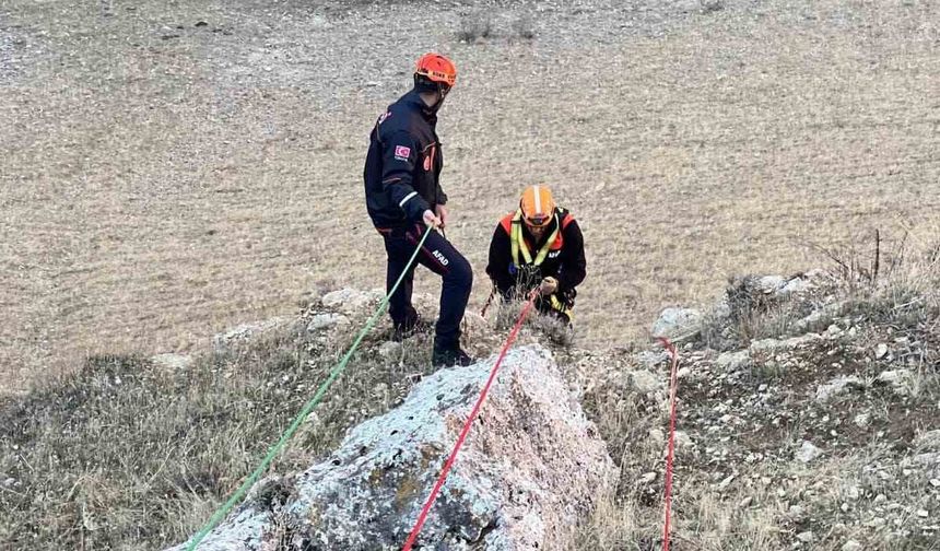 Muş’ta kayalıkta mahsur kalan keçiler kurtarıldı