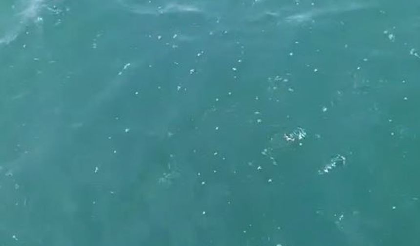Depreme denizde yakalandılar: "Marmara açıklarında bir gürültü koptu, tekne sallandı"