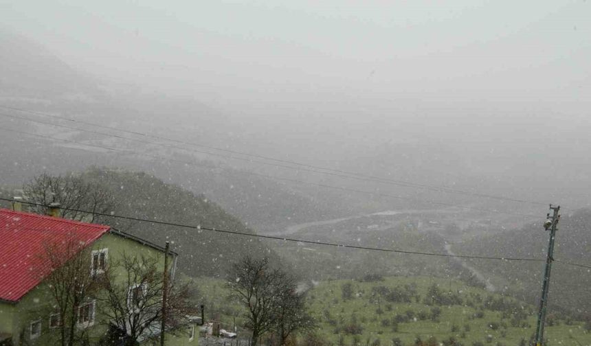Posof’ta kar yağışı etkili oluyor