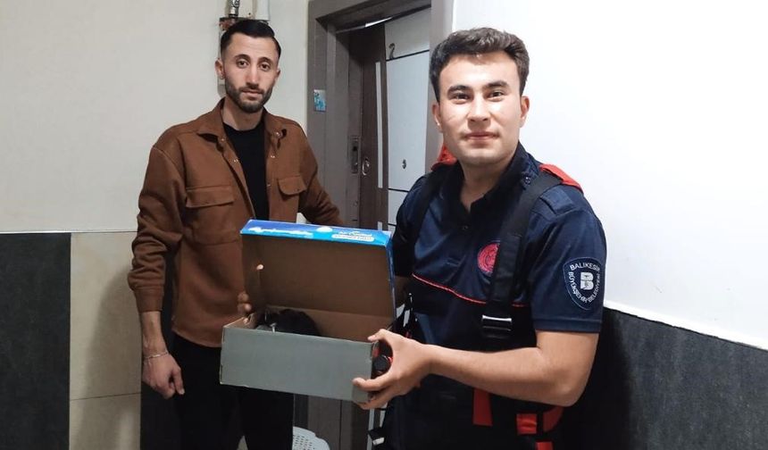İtfaiye erleri kurtardıkları karga yavrularını elleriyle besledi