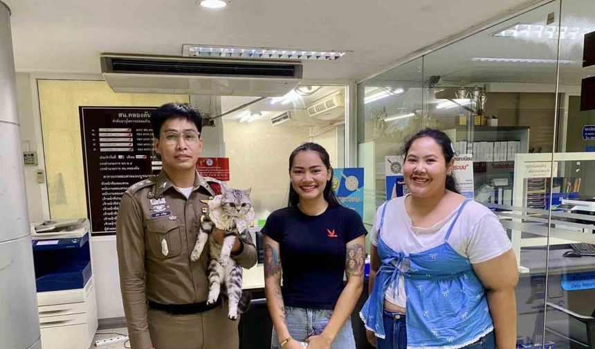 Tayland’da polisleri ısıran kedinin sabıka fotoğrafı çekildi, pati izi alındı
