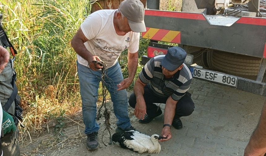 Ayağına ip dolanan leyleği vatandaşların dikkati kurtardı