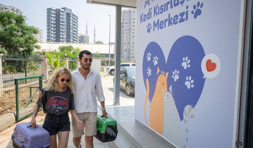 Sokakta yaşayan kediler için Büyükşehir'den 'kısırlaştırma' hizmeti