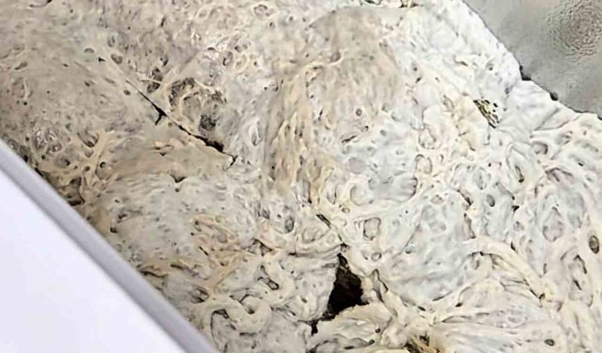 İşkembe görünümlü zula ekipleri şaşırttı