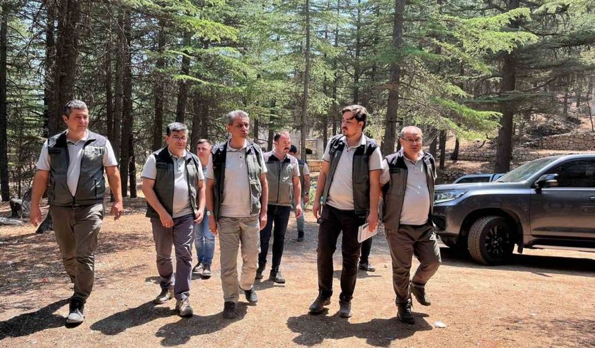 Mersin Orman Bölge Müdürü Gülnar’daki sahalarda incelemelerde bulundu