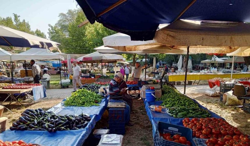 Tarihi Pınar Pazarı Panayırı 13 Temmuz’da kapılarını açıyor