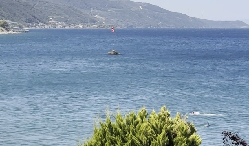 Yalova’da yunusun yüzen vatandaşla burun buruna geldiği anlar kamerada