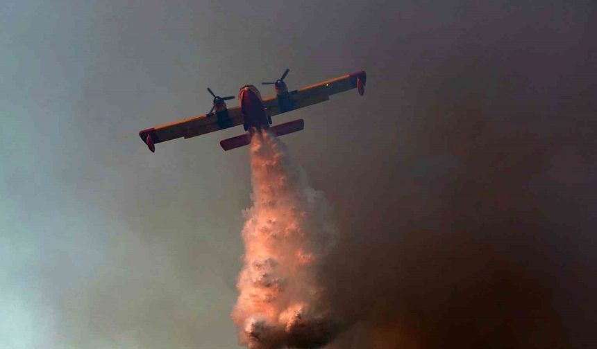 Yunanistan’ın Oropos bölgesinde orman yangını