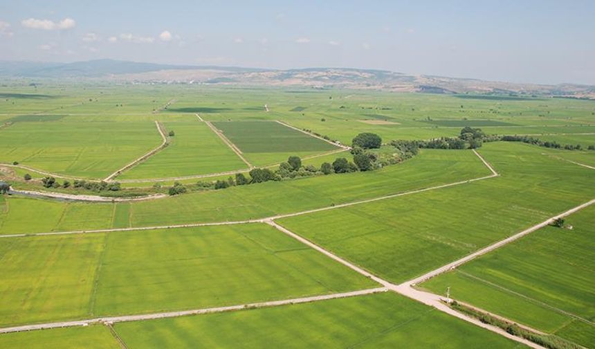 Mersin’in tarım arazilerinde azalma eğilimi dikkat çekiyor