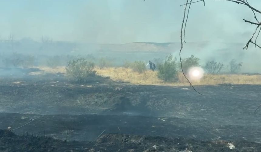 Batman’da anız yangınında 100 dönüm alan zarar gördü